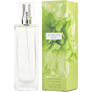 Banana Republic Wildbloom Vert