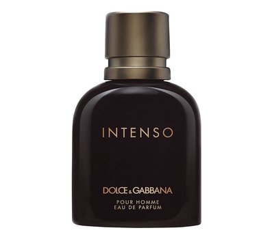 Dolce Gabbana (D&G) Pour Homme Intenso