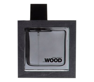 Dsquared2 He Wood Silver Wind Wood