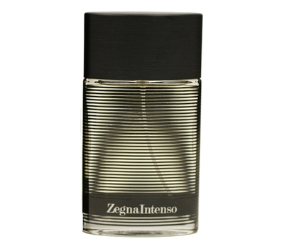 Ermenegildo Zegna Intenso