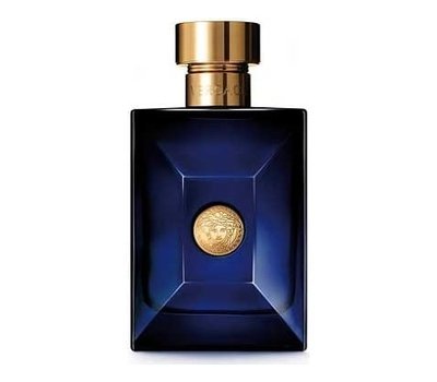 Versace Pour Homme Dylan Blue