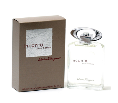 Salvatore Ferragamo Incanto Pour Homme