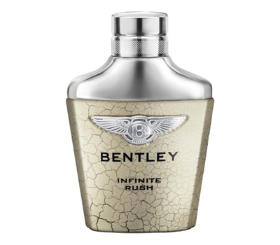 Bentley Infinite Rush 128256