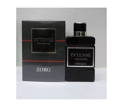 Zorg Intense