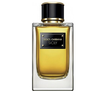 Dolce Gabbana (D&G) Velvet Sicily 144047