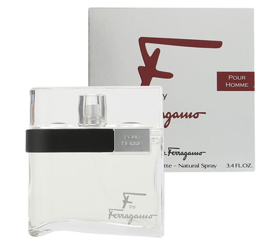 Salvatore Ferragamo F By Ferragamo Pour Homme 178827