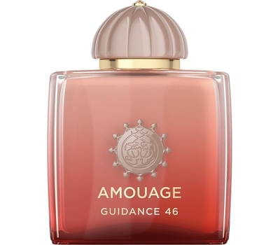 Amouage Guidance 46 230793