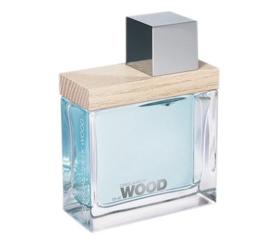 Dsquared2 She Crystal Creek Wood 63246